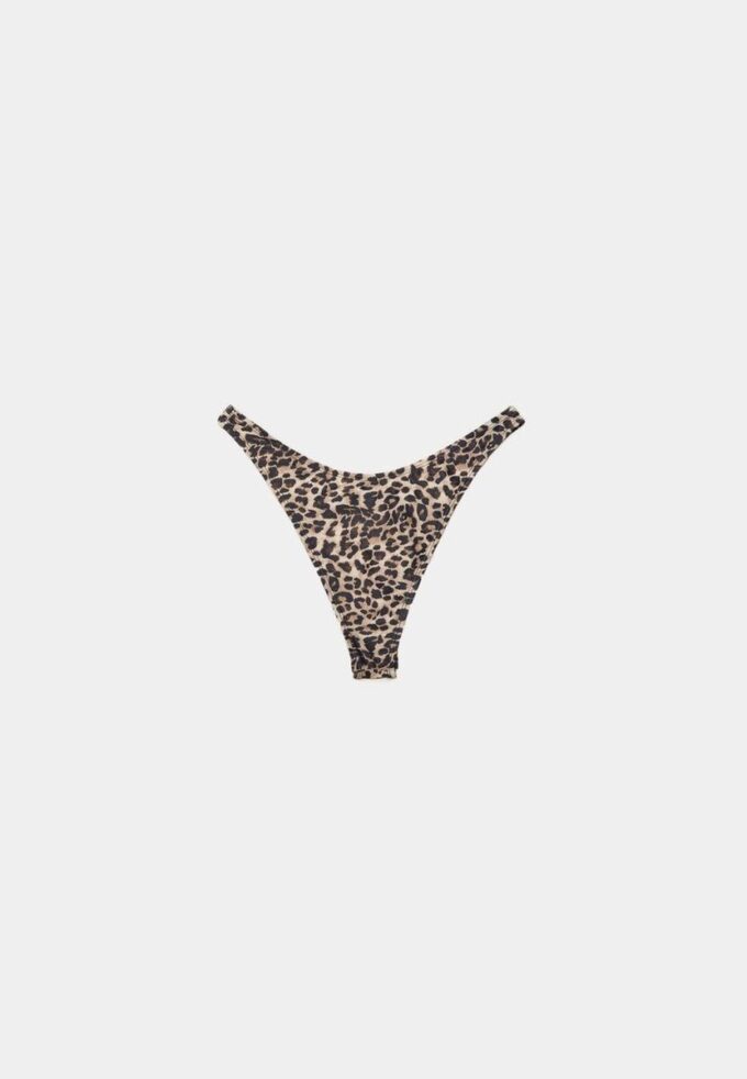 Basic V-Cut Brazilian Bikini Briefs Basic V-Cut Brazilian Bikini Briefs