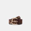 Belt with Irregular Multi-Studs