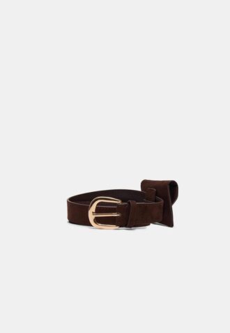 Belt with Purse Appliqua