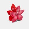 Flower Clip