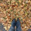 Low Waist Boot-Cut Jeans Low Waist Boot-Cut Jeans