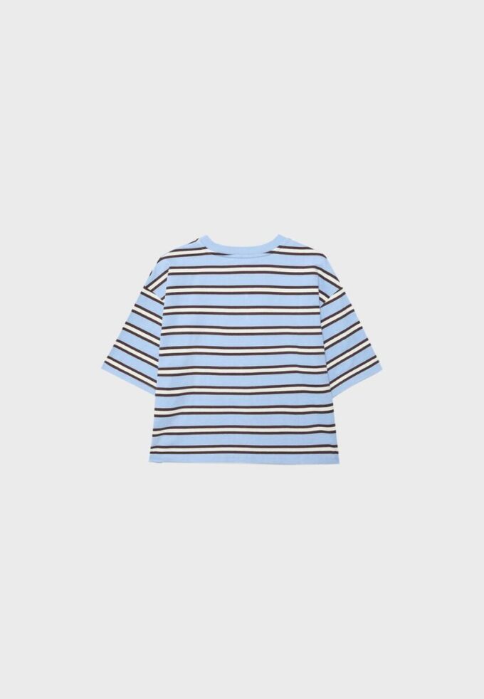 Striped Short Sleeve T-Shirt